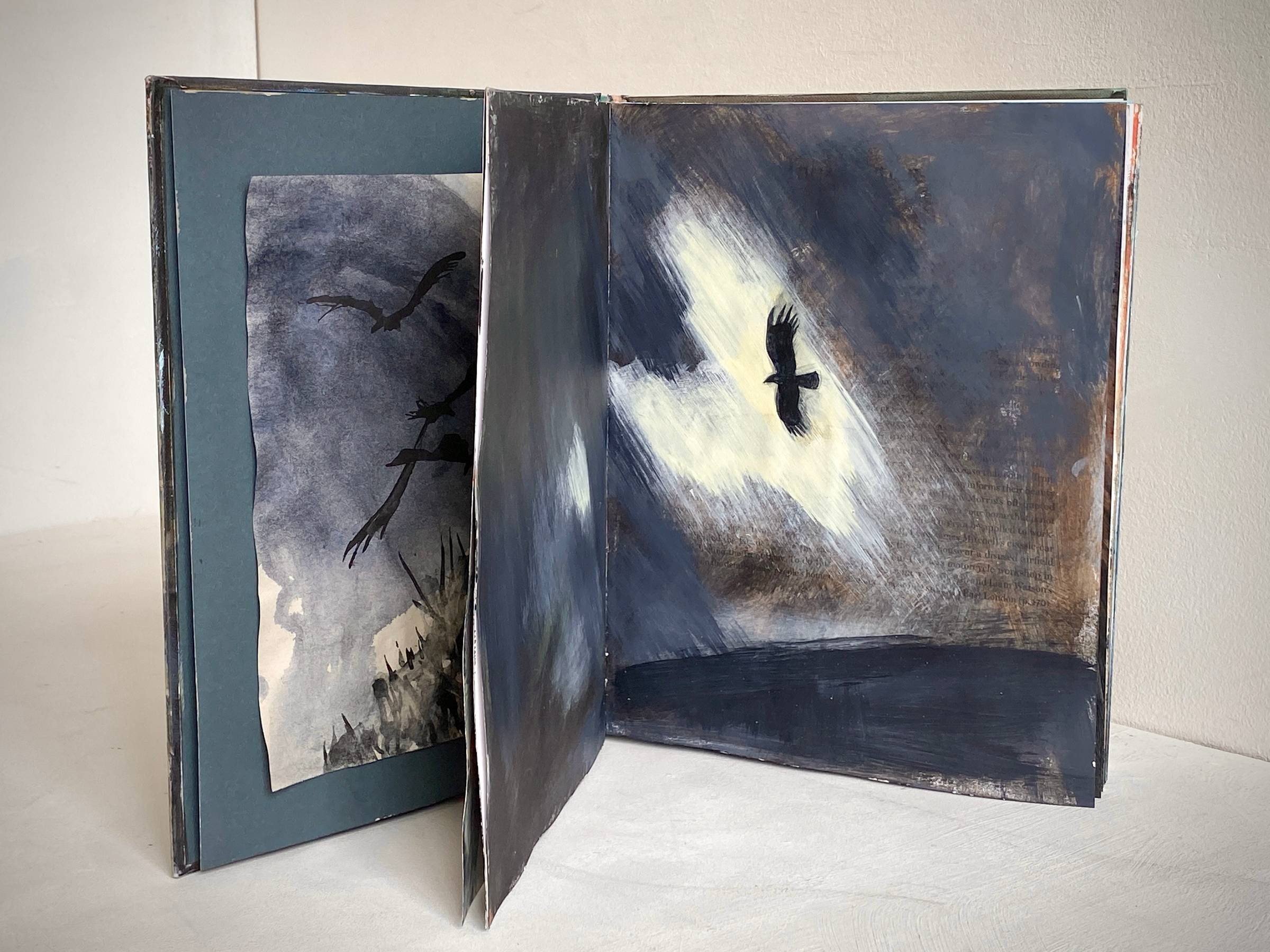 A hardback sketchbook with dark, contrasty,atmospheric paintings of flying birds.