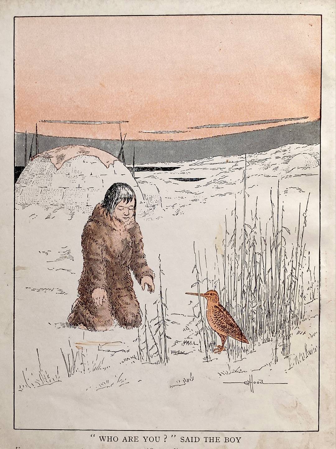Book illustration with an Inuit boy in fur clothing speaking to a Snipe bird in vegetation with an igloo and pink sky in background.