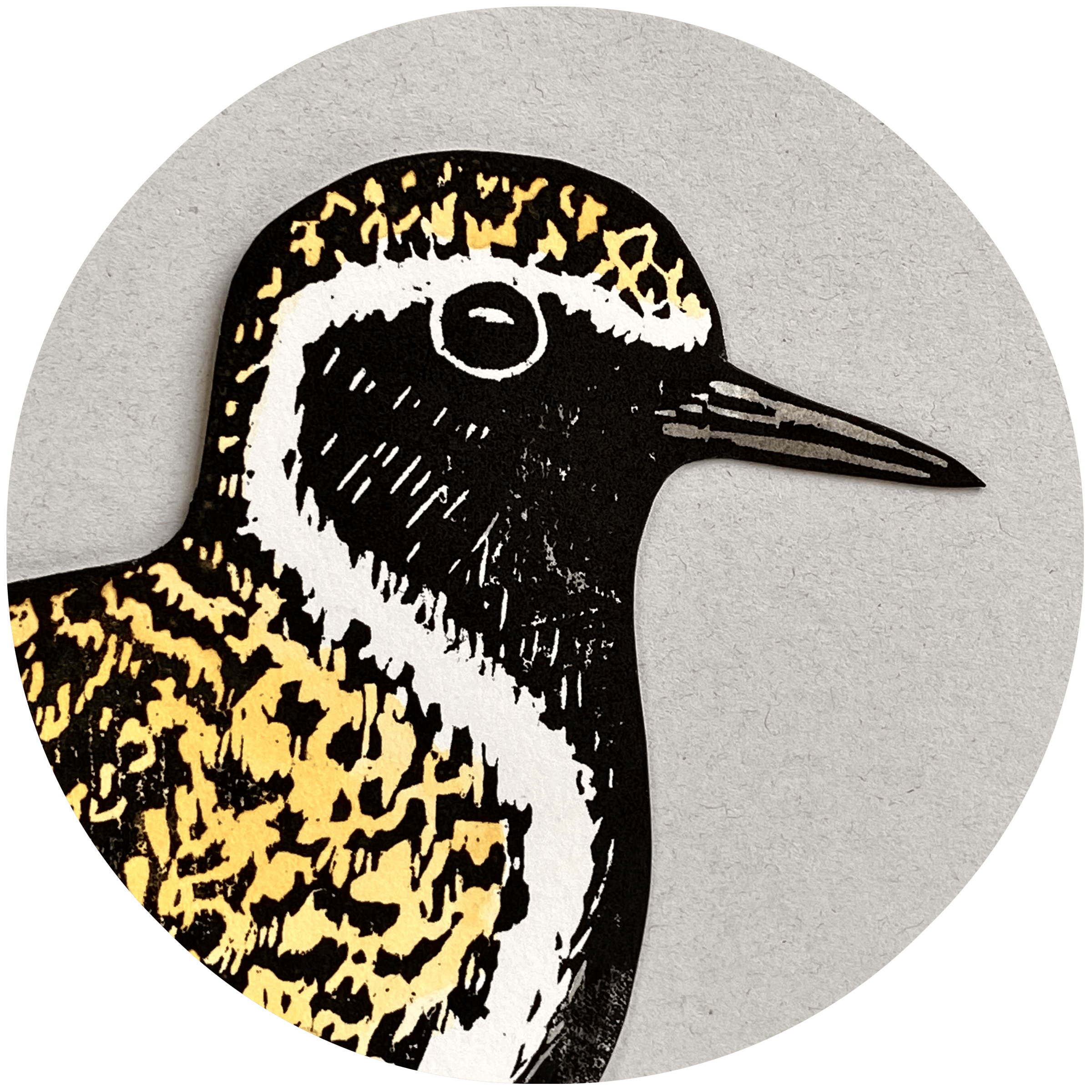 profile