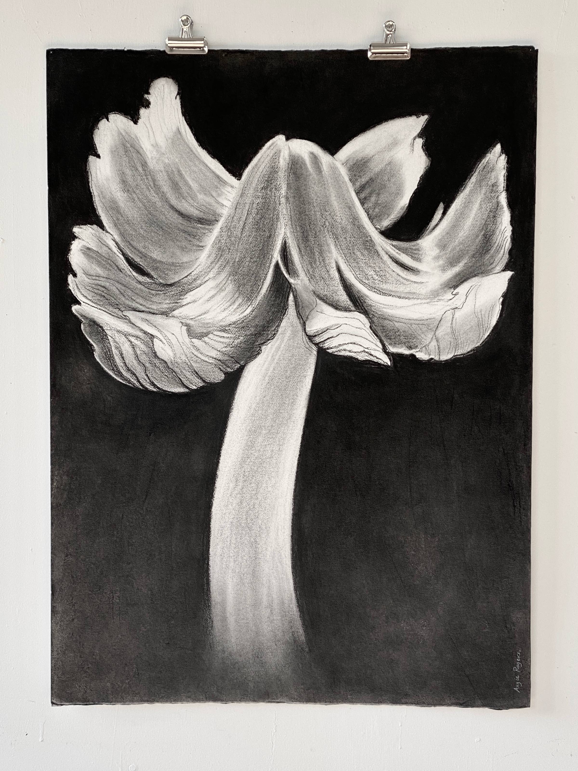 Large black and white drawing of a pink wax cap mushroom