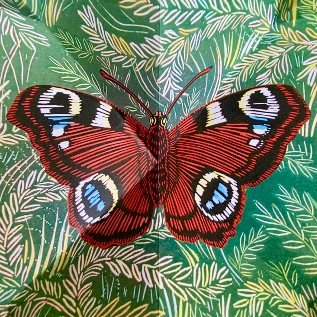 A mainly red butterfly on a green background