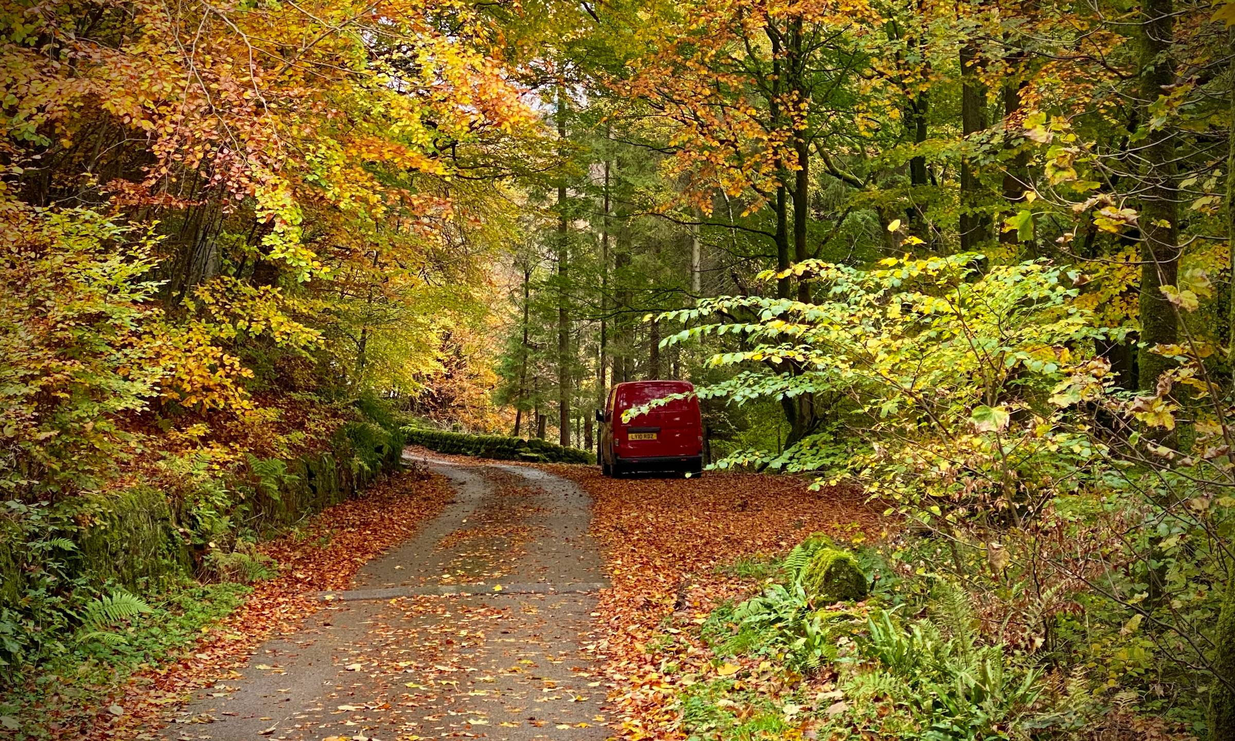 a red van parked by a track in autumn under orange and yellow leaved trees.