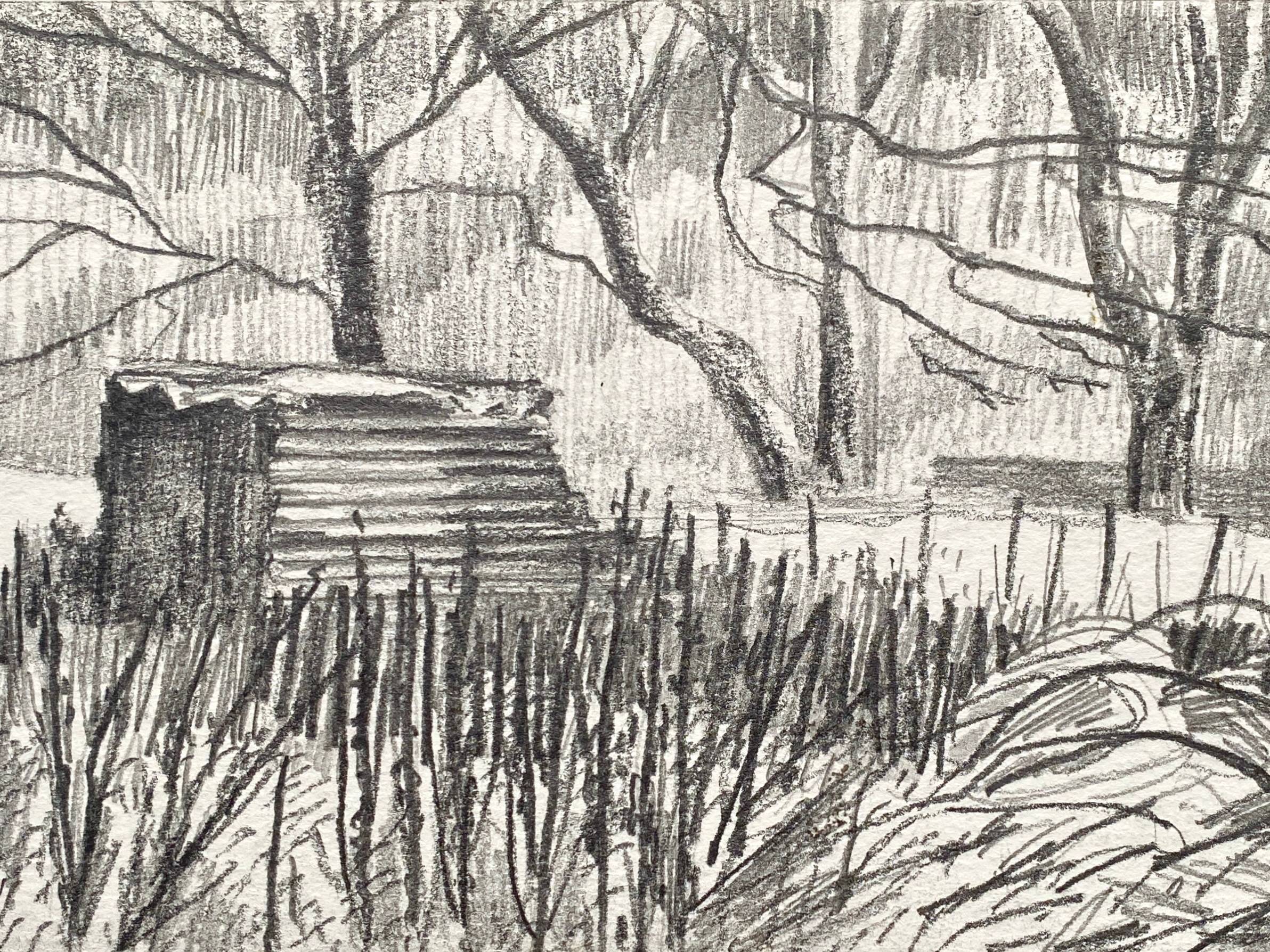 Graphite drawing in grey on white paper of winter allotment shed under trees with skeleton plant stalks.