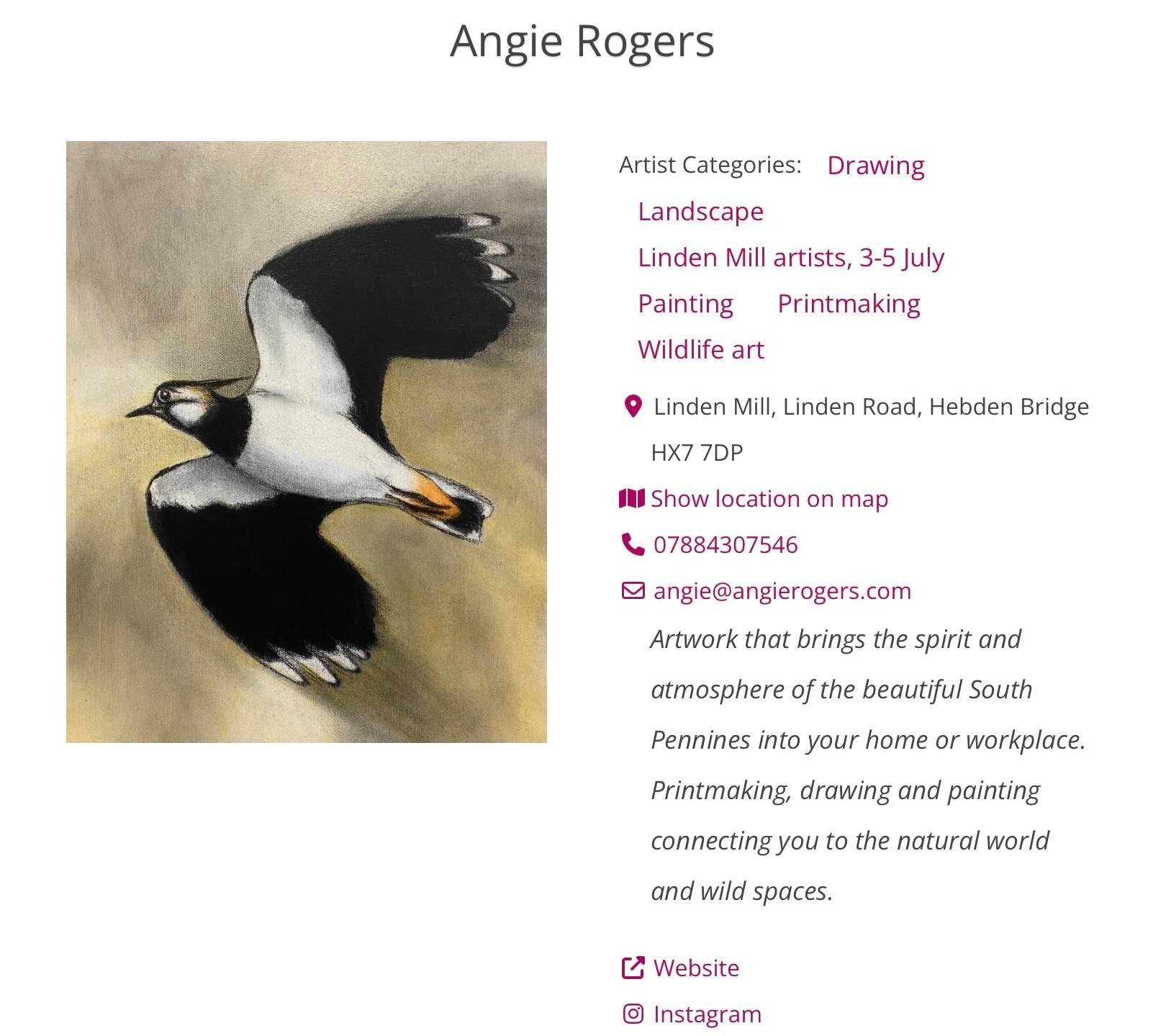 A painting of a Lapwing in flight upwards