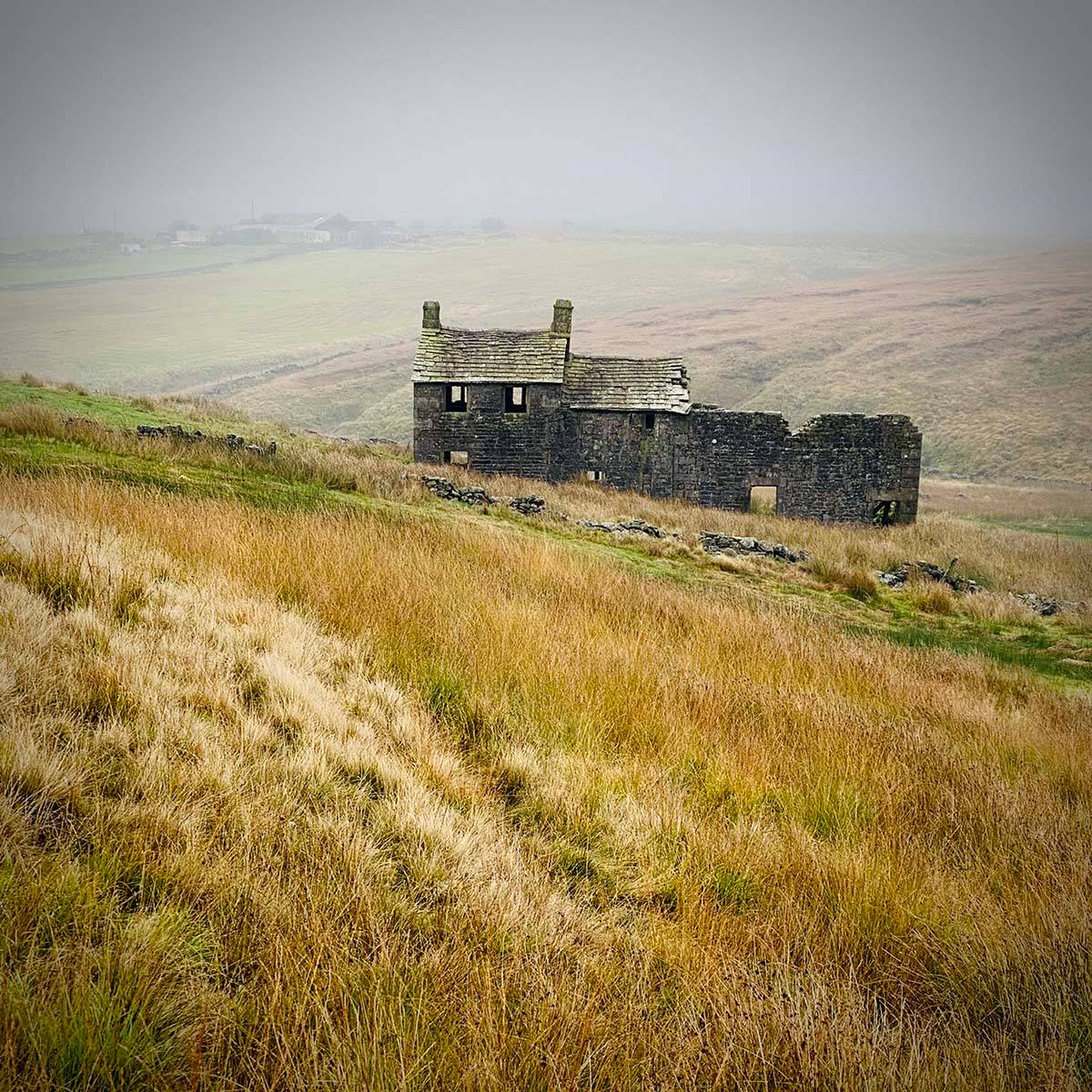 a derelict cottage in front of a misty hillside with straw coloured rushes and grass in the foreground.