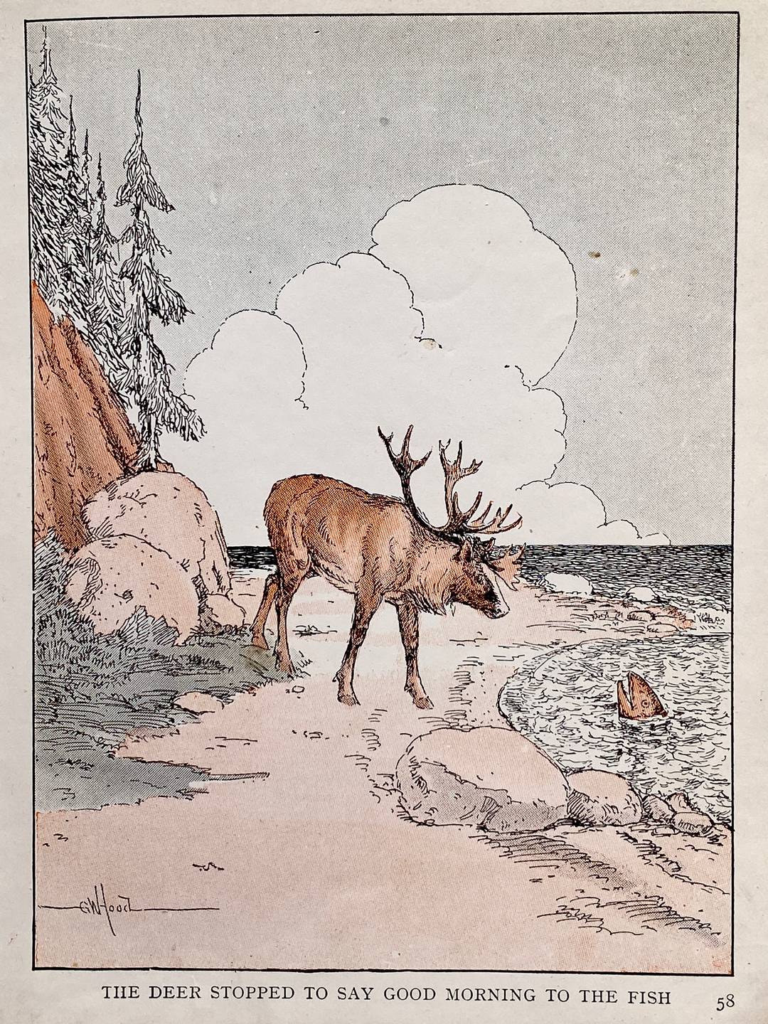 book illustration with reindeer on a shore and a cod head sticking out of water.