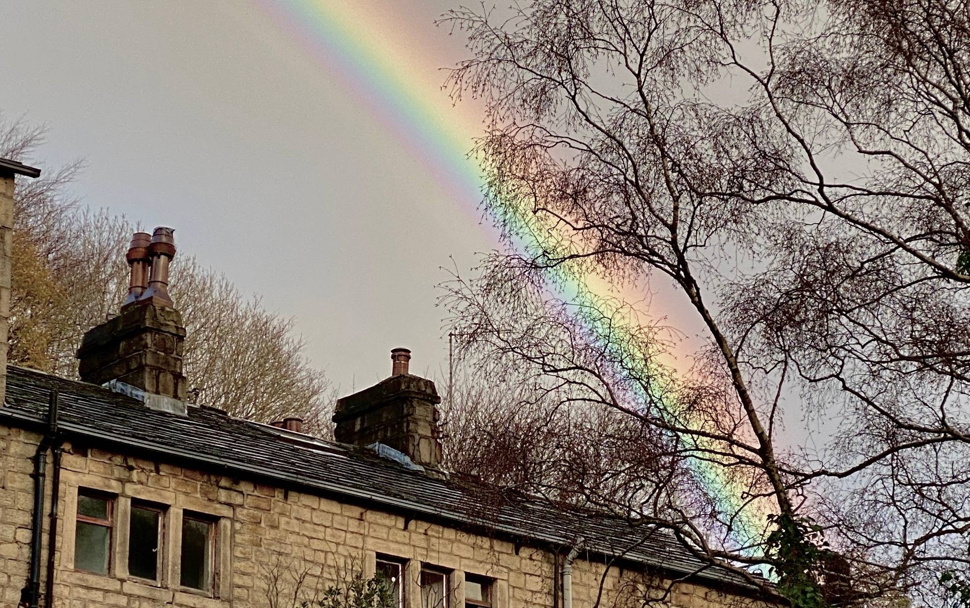 Grey sky with rainbow behind winter trees and rooftops with chimneys.