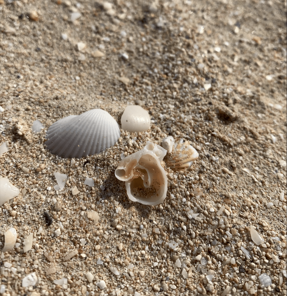 I have a question (plus)