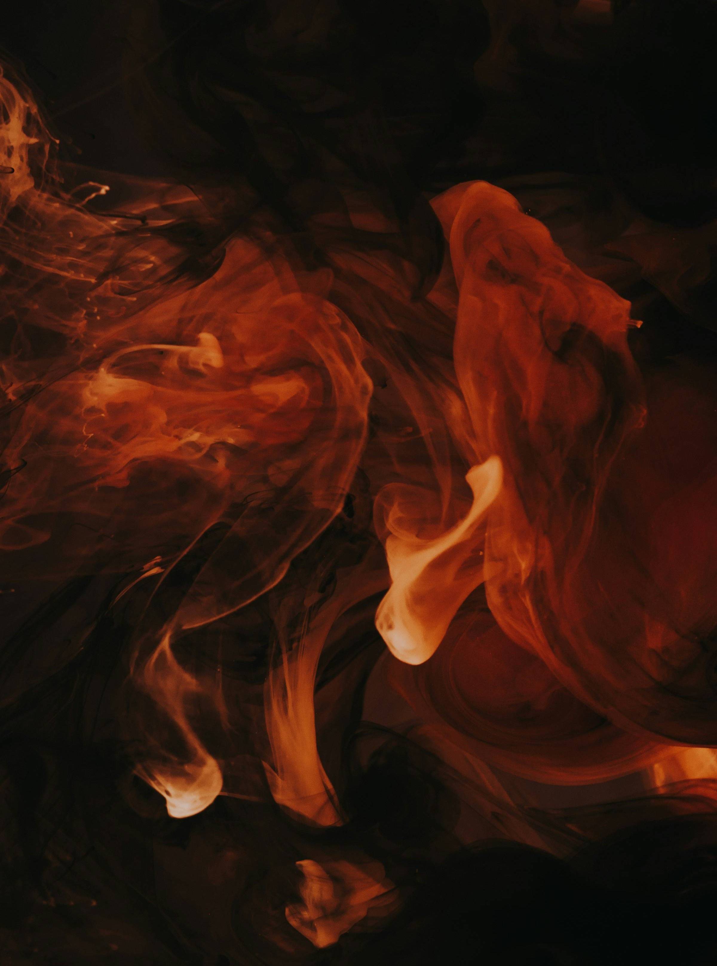 Flames curl against a black background in the shape of a horse