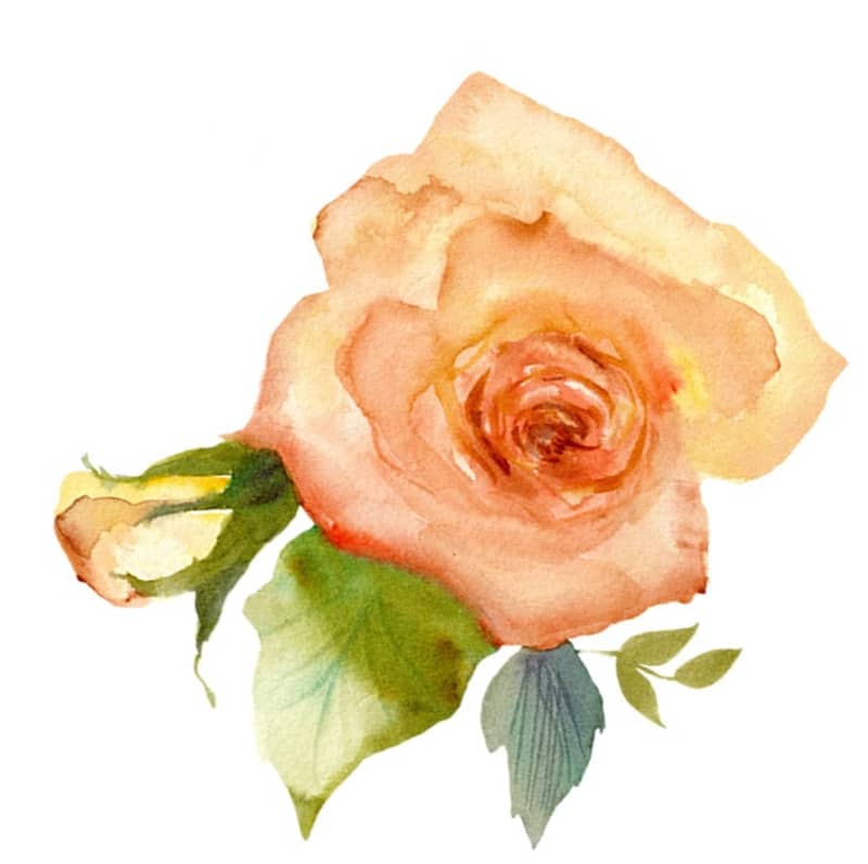 You Can Bloom Anywhere