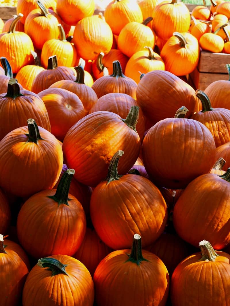 Fall Events and Piles of Opportunities!