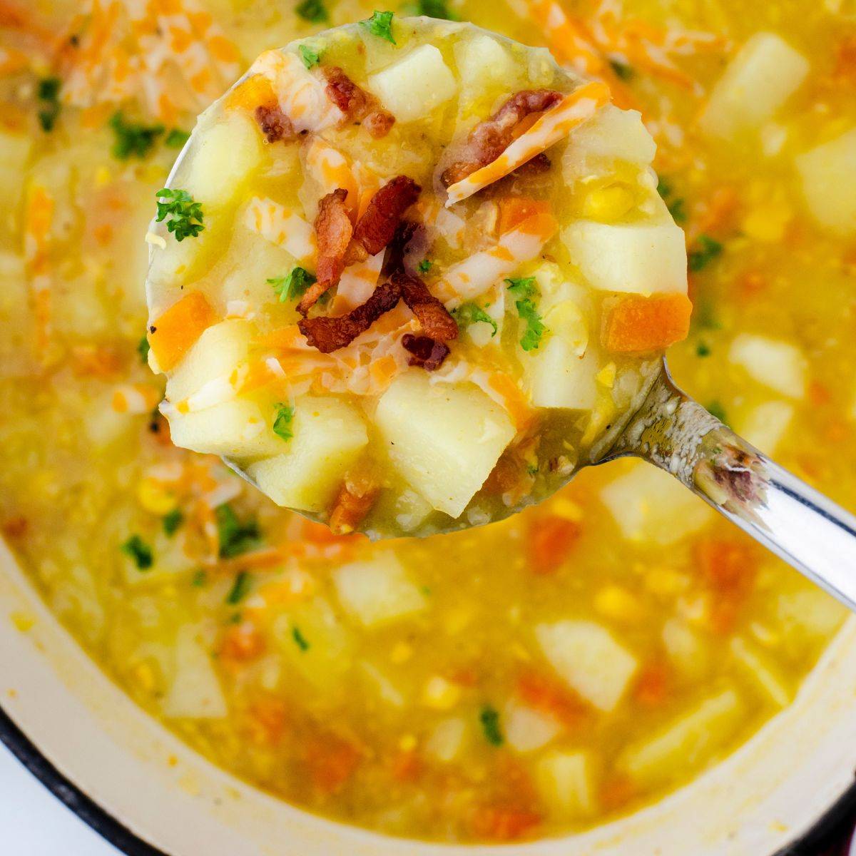 A soup ladel  full of potato soup