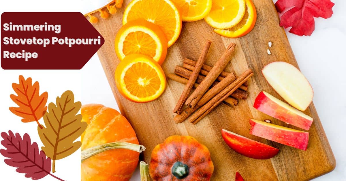 Pumpkin Pie simmer pot ingredients