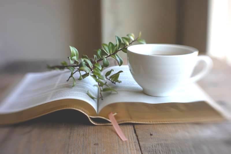 Open book with a cup of coffee and plant