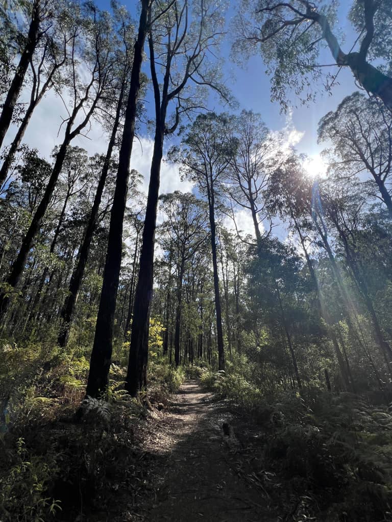 Blog post from The Overproof Press – spring stories from Panton Hill and local folklore inspiration.