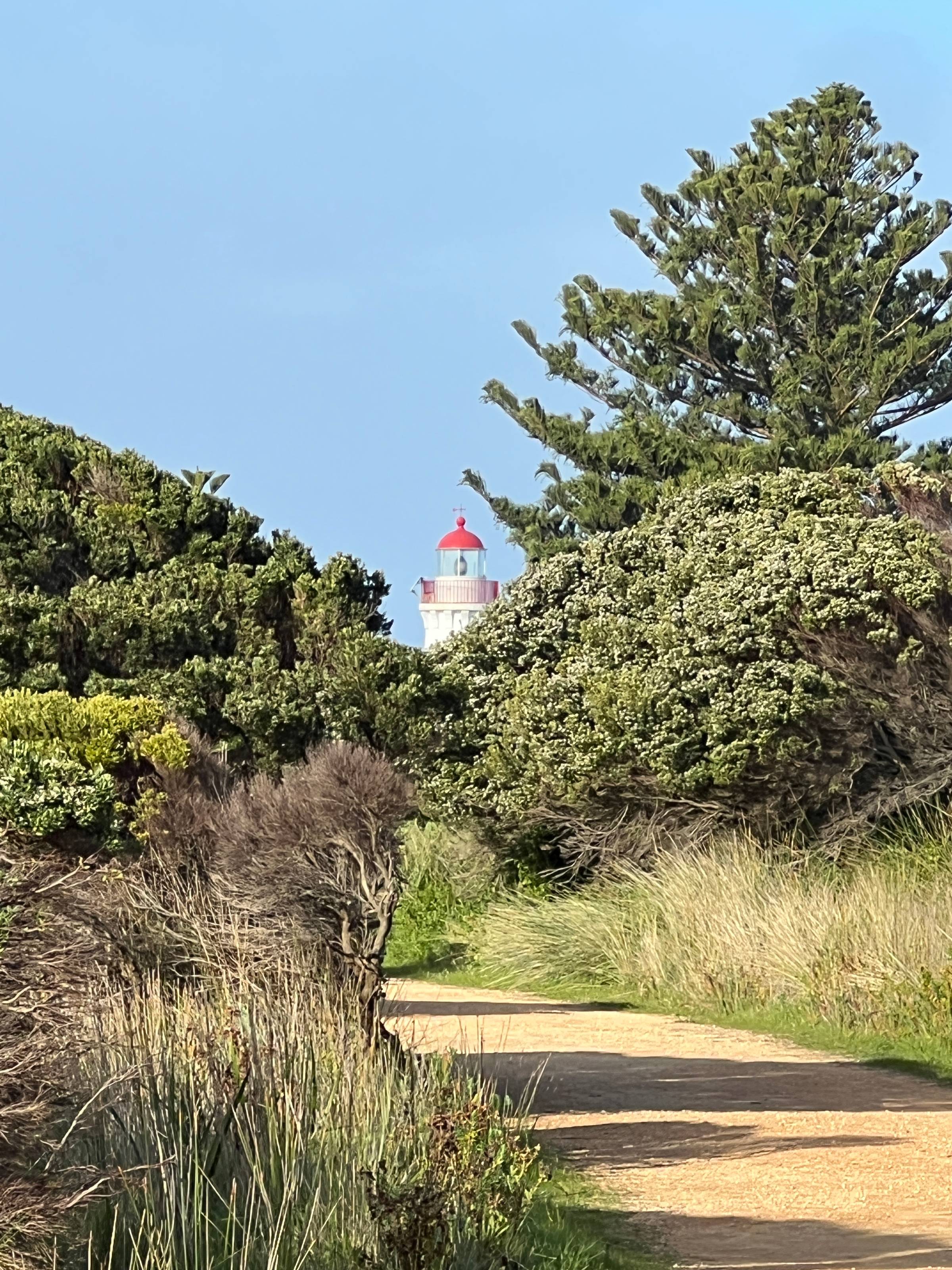 Winter afternoon on Griffiths Island in Port Fairy, Victoria, with the historic white Port Fairy Lighthouse surrounded by coastal dunes and low native scrub beneath a crisp, atmospheric sky.