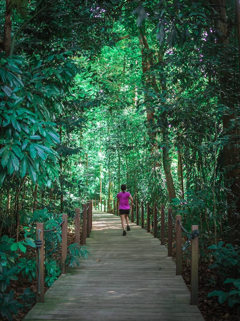 Person running on a wooden path through a lush forest.