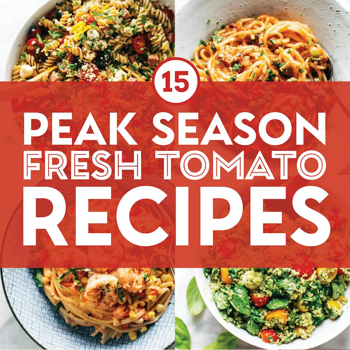 15 Peak Season Fresh Tomato Recipes