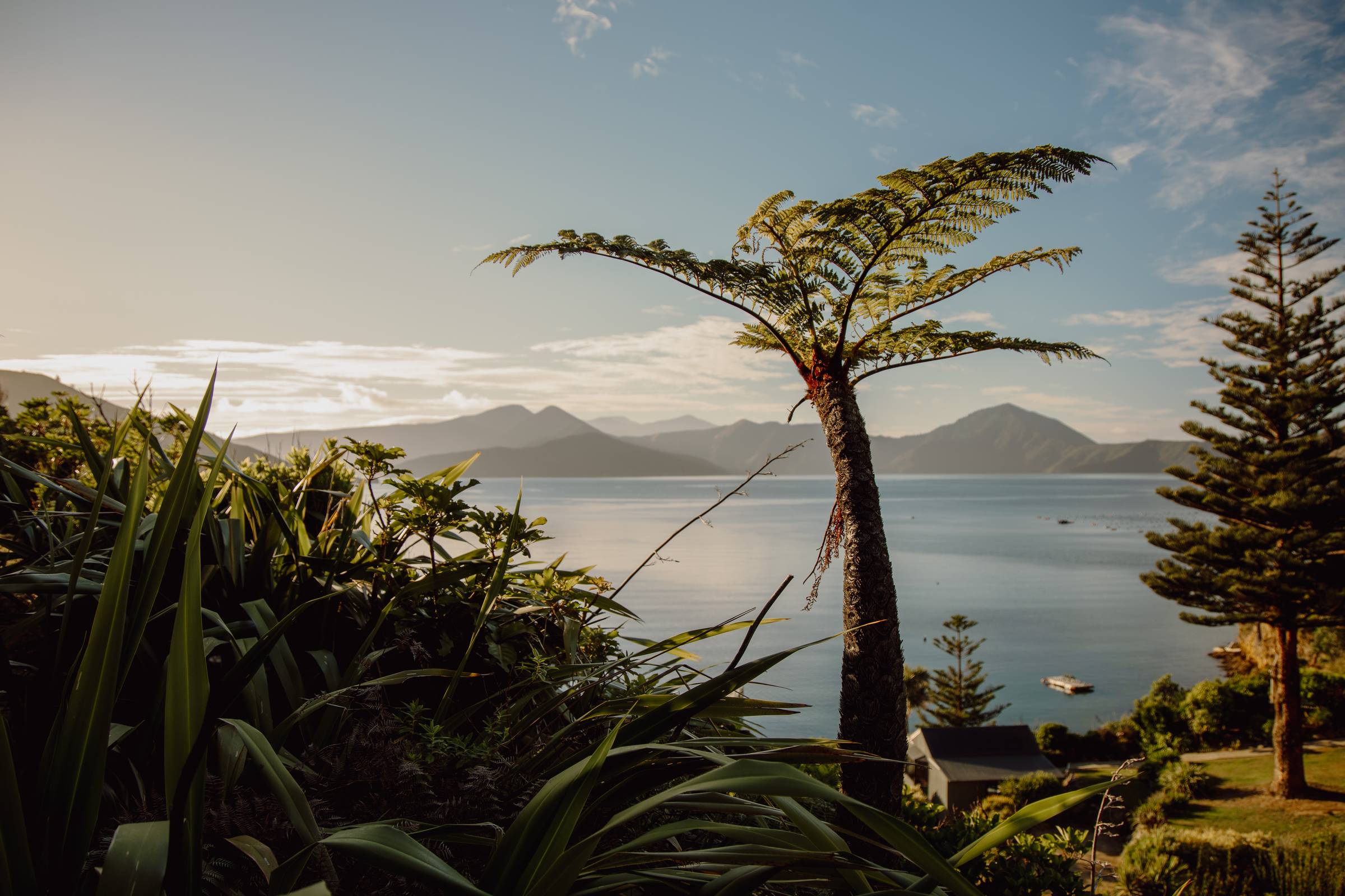 Waitata Bay