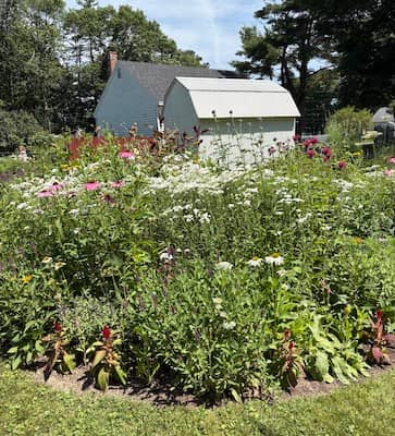 Linda Long's garden in bloom behind her home in Brunswick, Maine | Photo: P. Burke