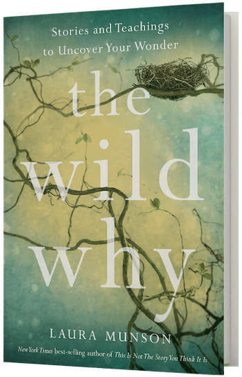 Book cover for The Wild Why: by Laura Munson