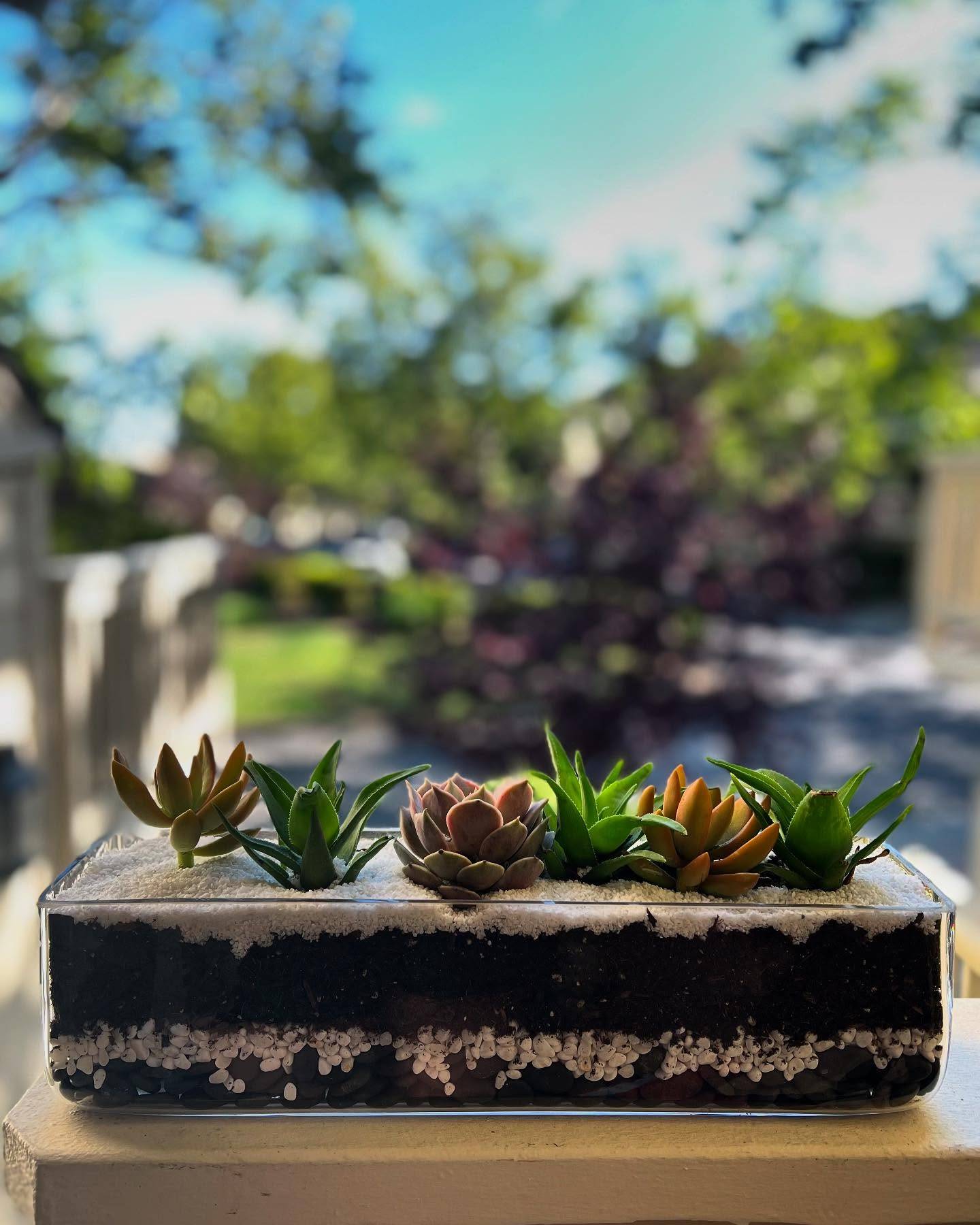 🌵New post on the blog today! Head over to learn all about planting succulents in glass containers for functional and beautiful displays - just in time for your outdoor refresh!💫Link in bio! Be sure to subscribe to receive my weekly post roundups! #succulents #succulentcontainer #succulentgardening