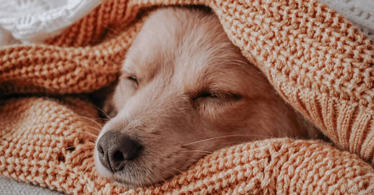 Exploring Happiness Blog - Sleep