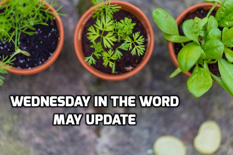 May 2026 new from Wednesday in the Word