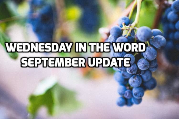 Wednesday in the Word News Sept 20206