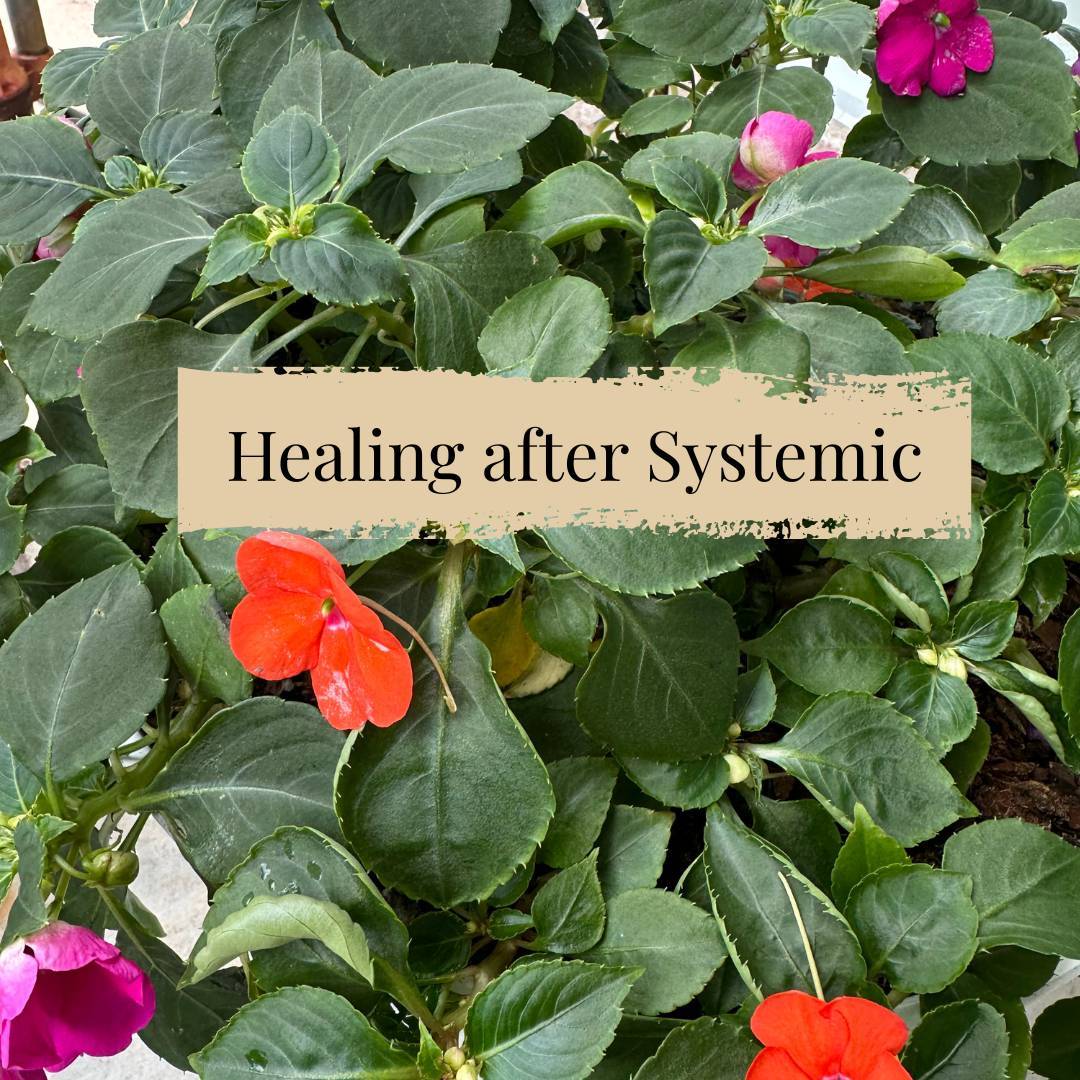 God Transforms Us From The Roots