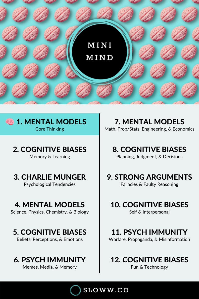 Mini Mind Overview
