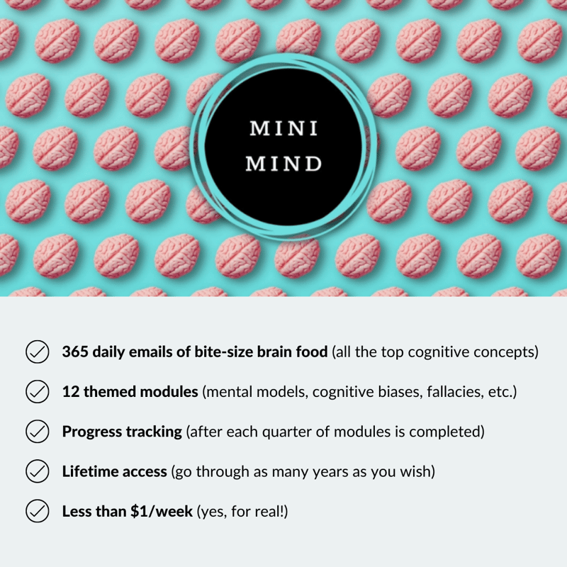 Mini Mind Overview