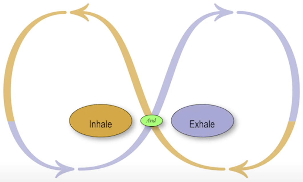 Inhale & Exhale Polarity