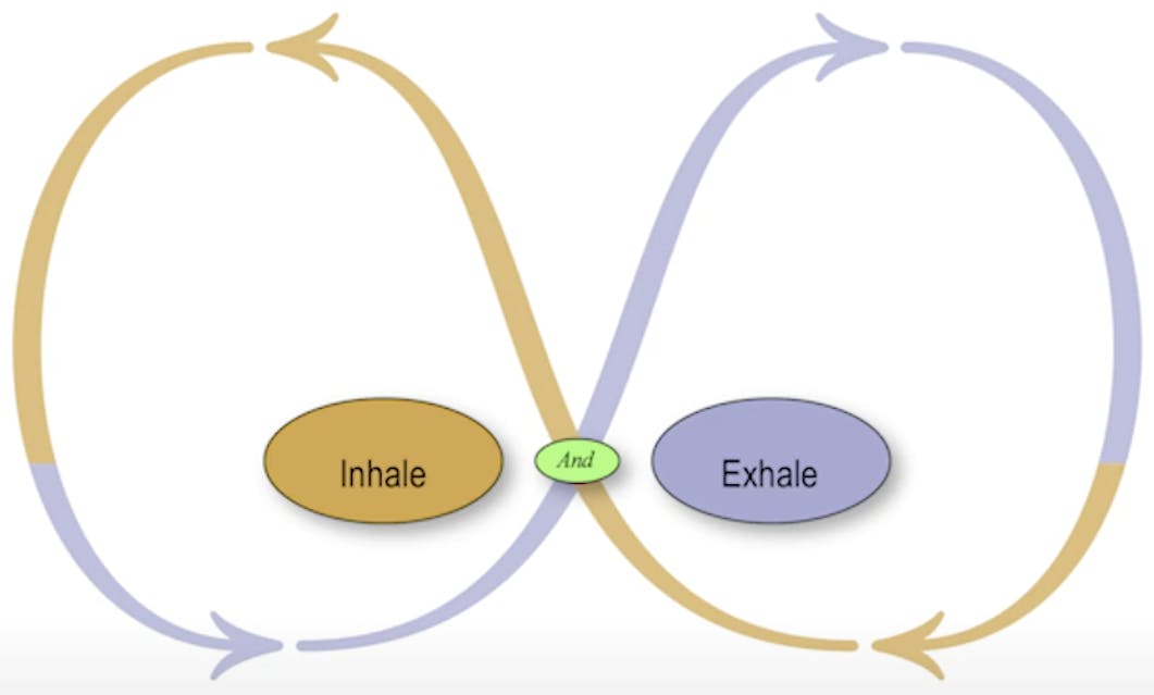Inhale & Exhale Polarity