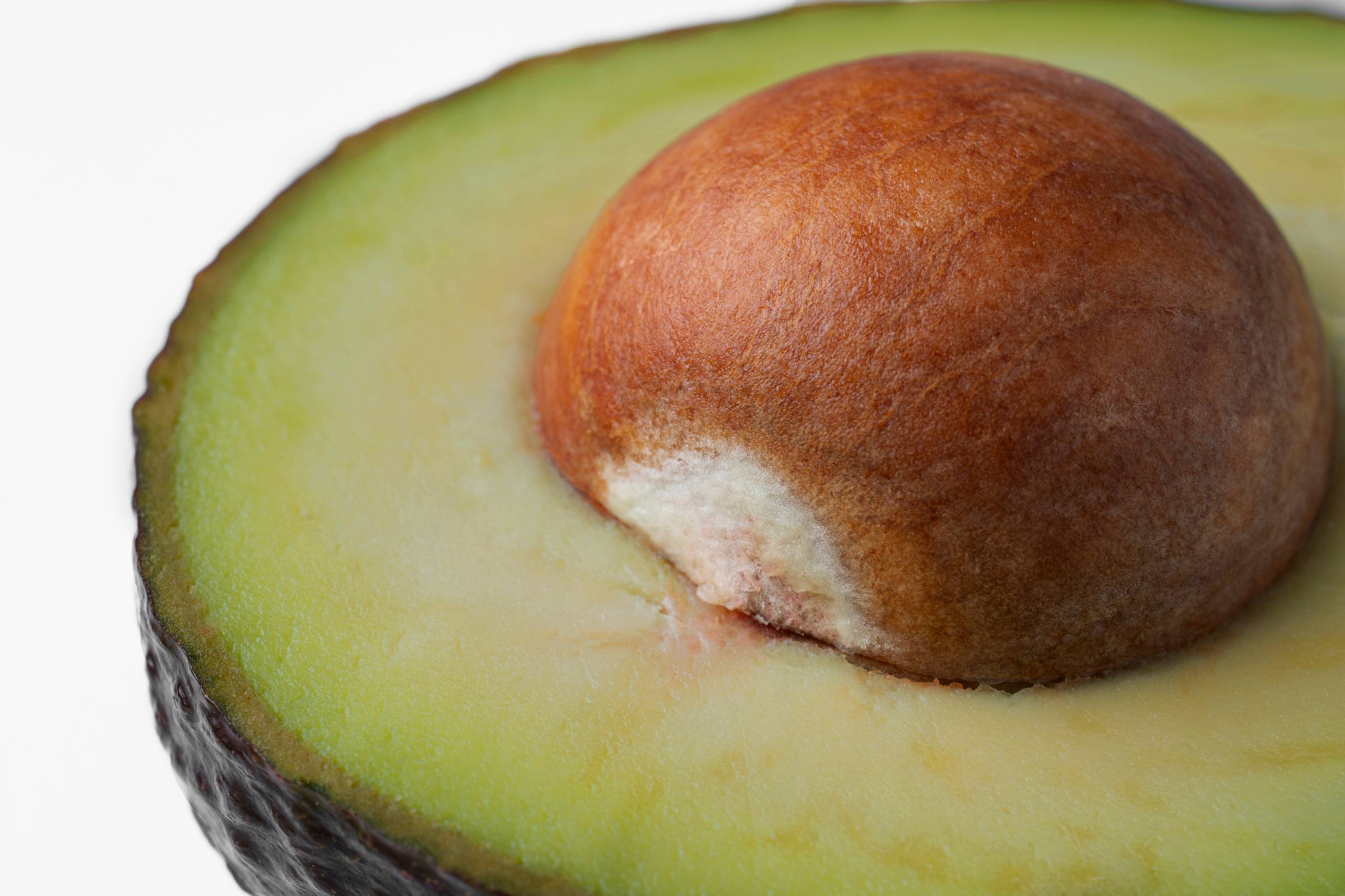 Avocado pit