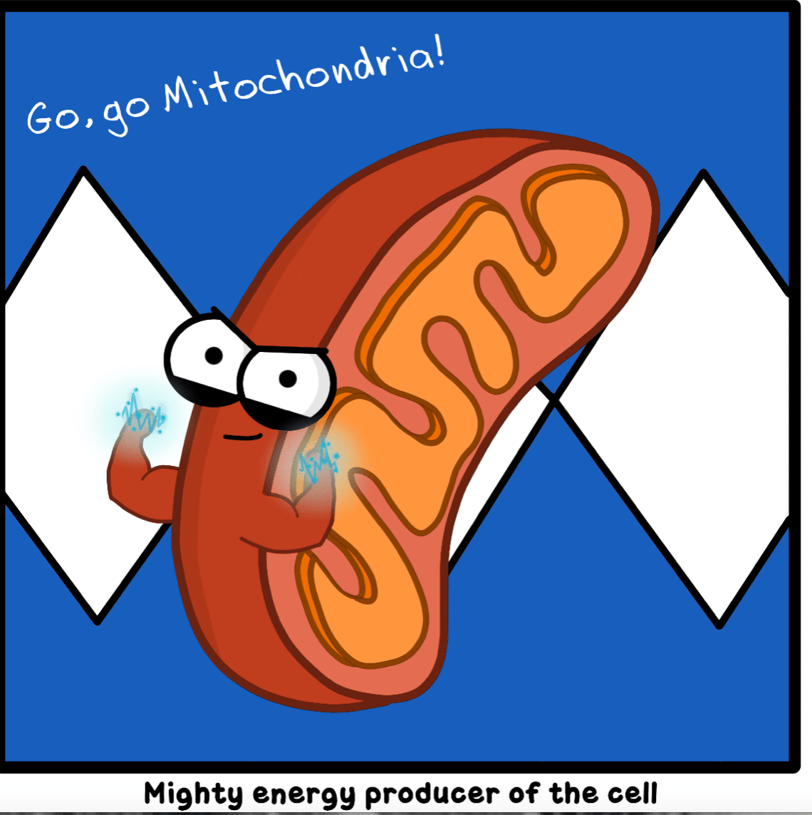 Mighty Mitochondria 