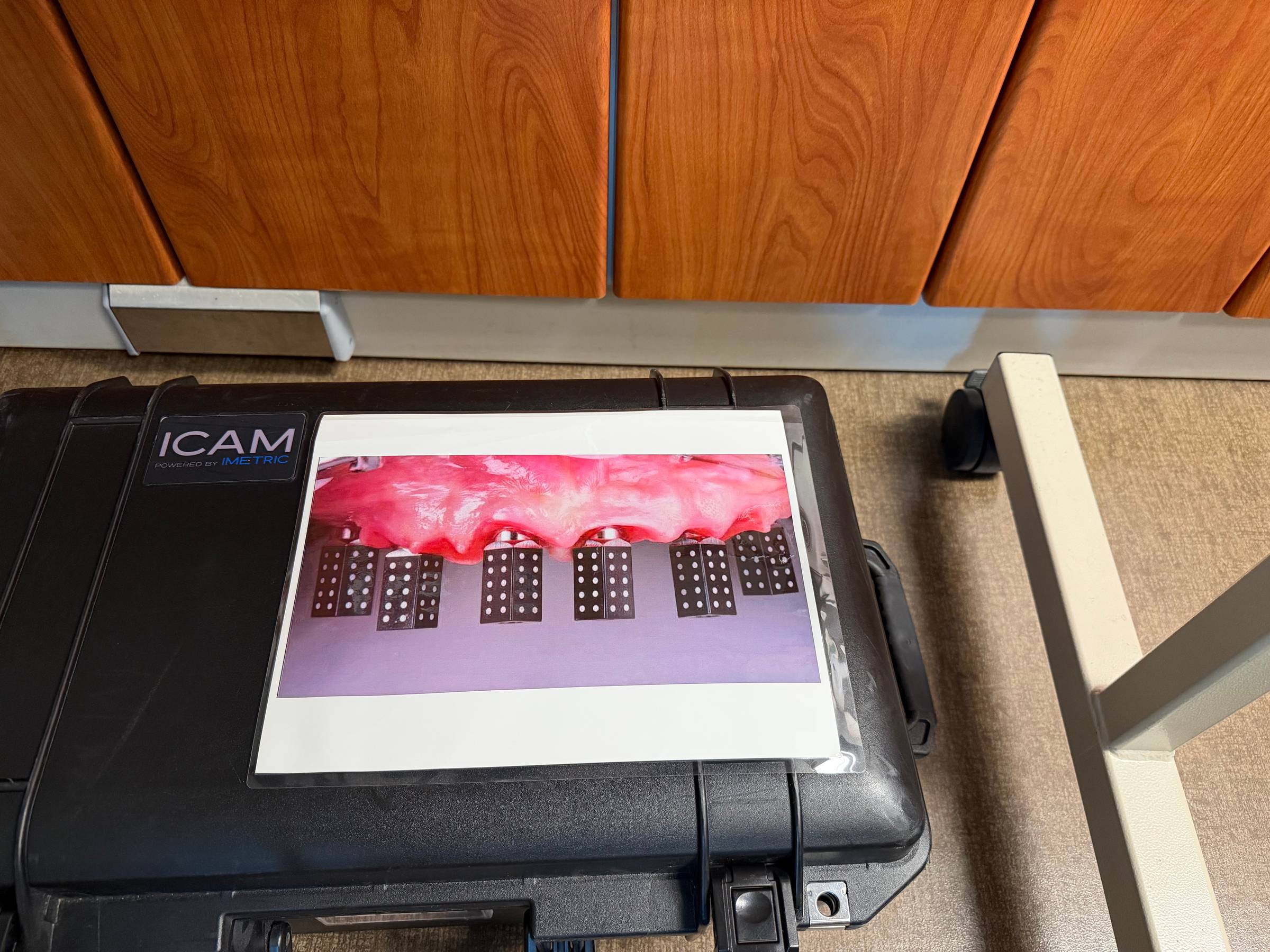 iCAM learns from the last two years