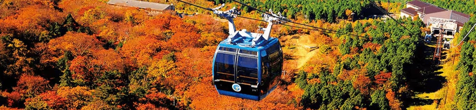 hakone ropeway