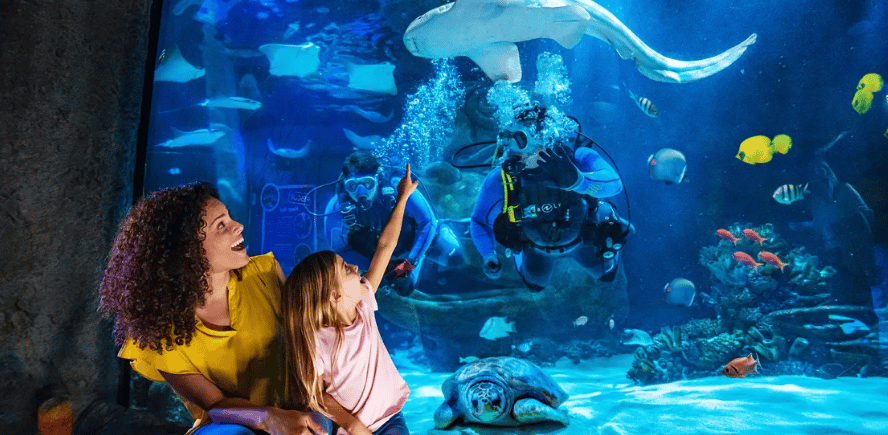 mother daughter pointing to shark at Sea Life Aquarium in Grapevine Texas