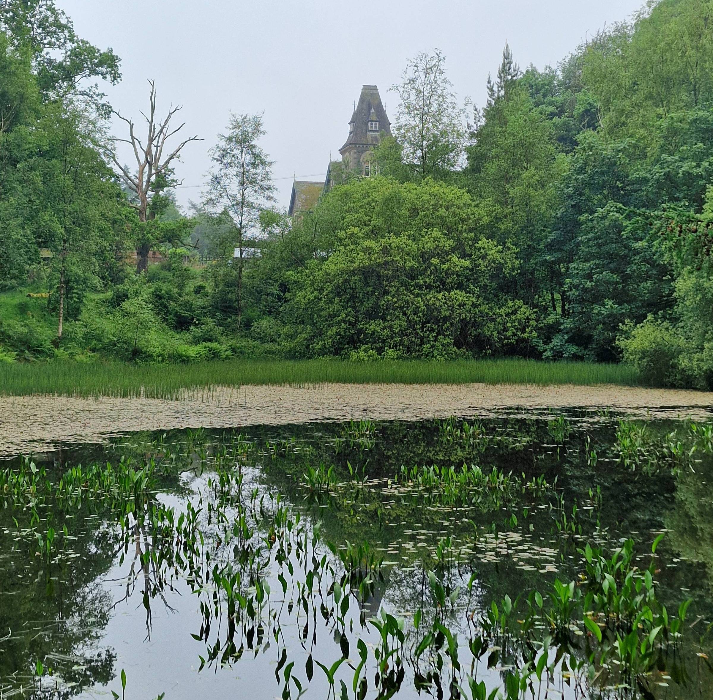 Yewfield's little tarn
