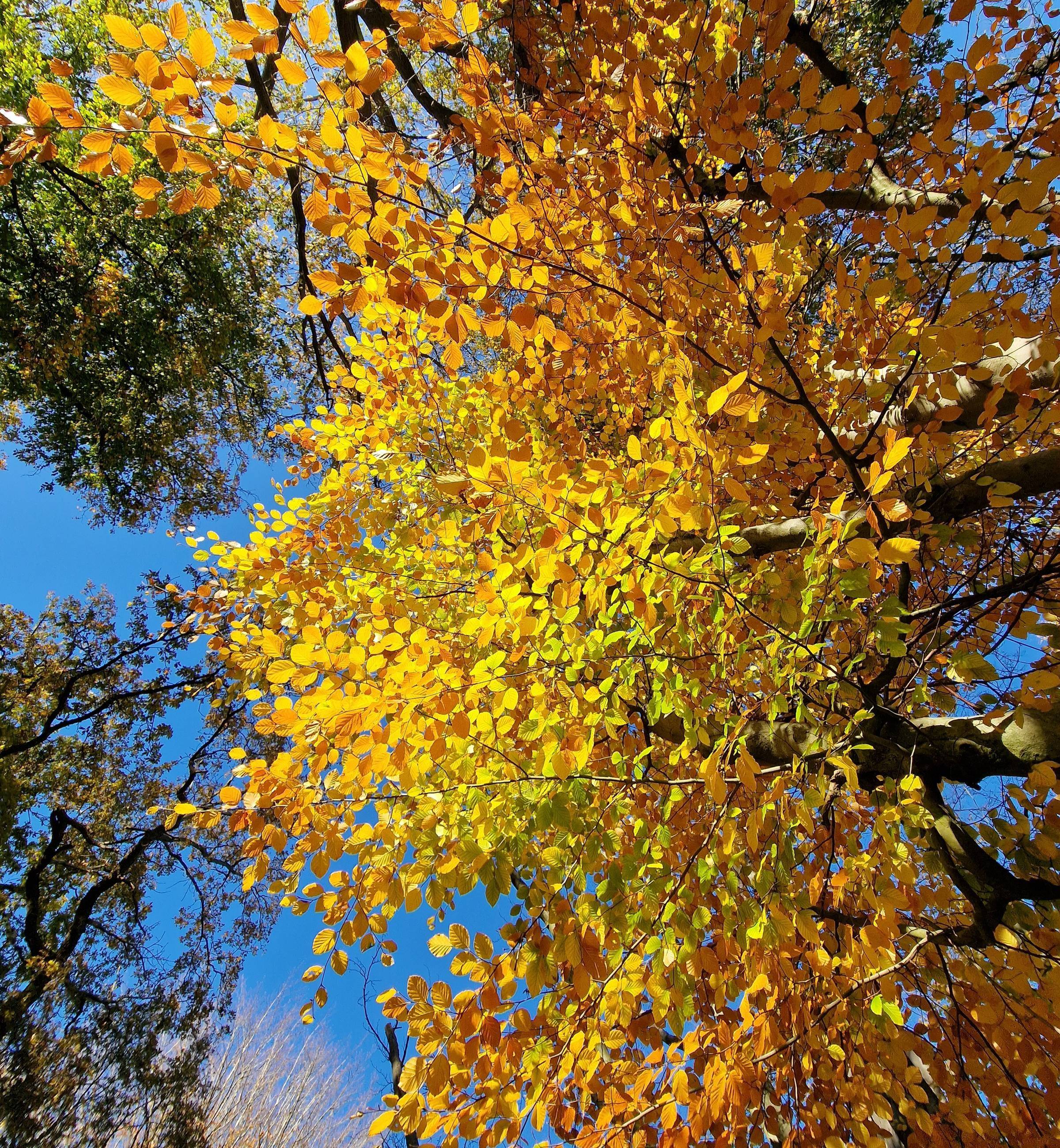 autumn season changes