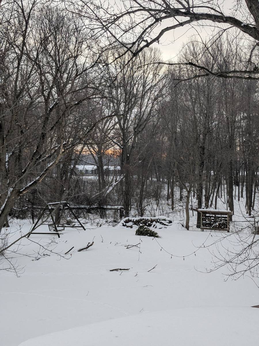 A warm, slightly mischievous midwinter email weaving Candlemas, pre-Christian “light” traditions, and the groundhog rule into a comforting reminder: the turning has begun.