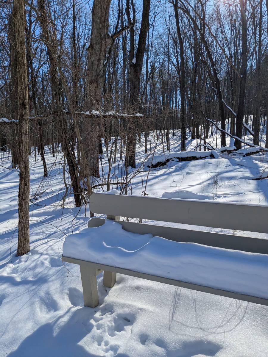 A closing session reflection on a client’s six-month transformation—from anxious rumination to greater inner space. At the heart of it is one powerful insight: the pause between trigger and response creates resilience, agency, and action rooted in love ra