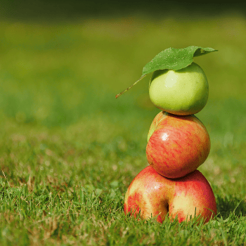 Finding balance...do you struggle with it? Let's explore together in my monthly mindful newsletter