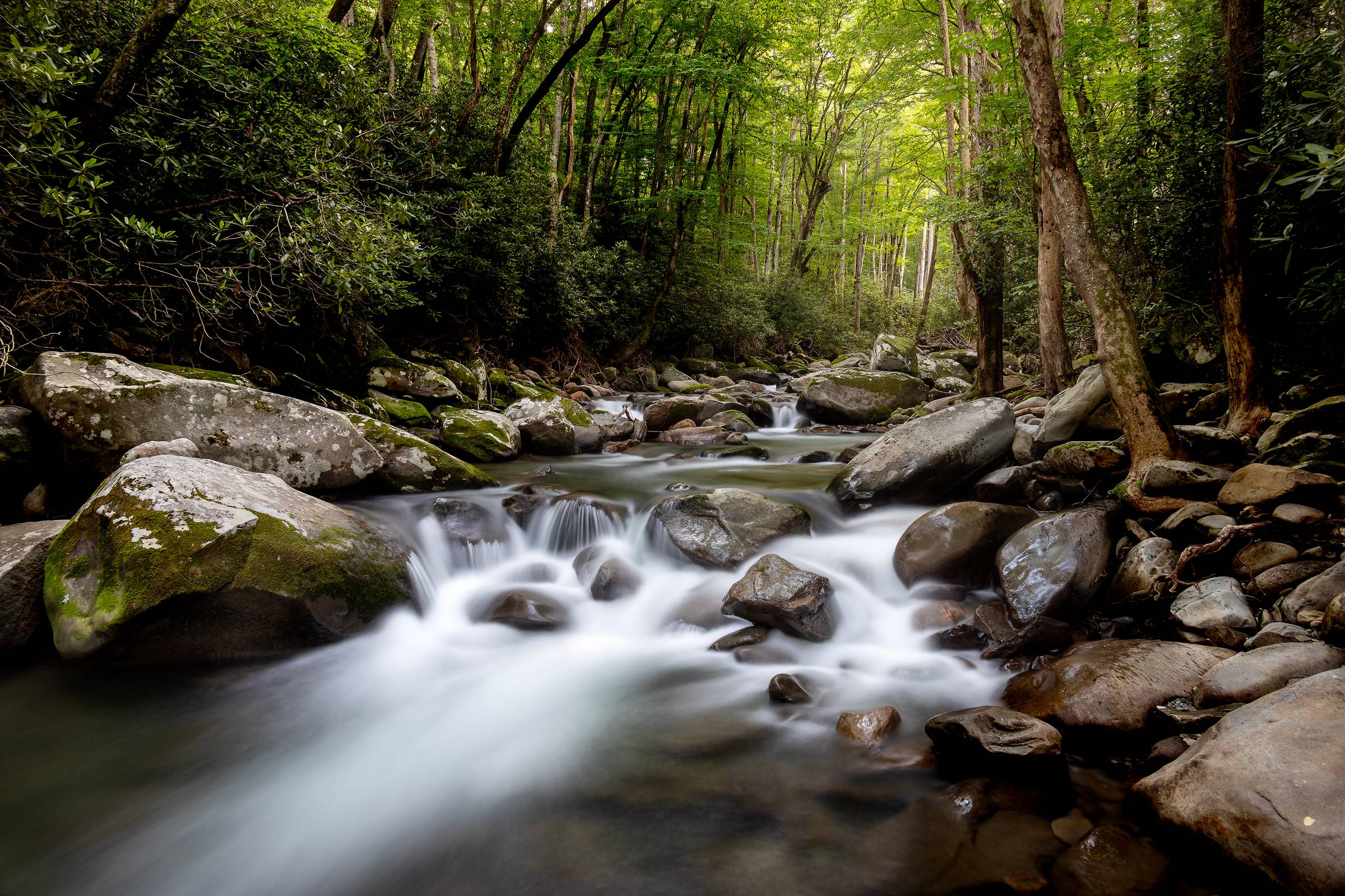 long-exposure image of small cascades in a pristine mountain stream in Great Smokey Mountain National Park