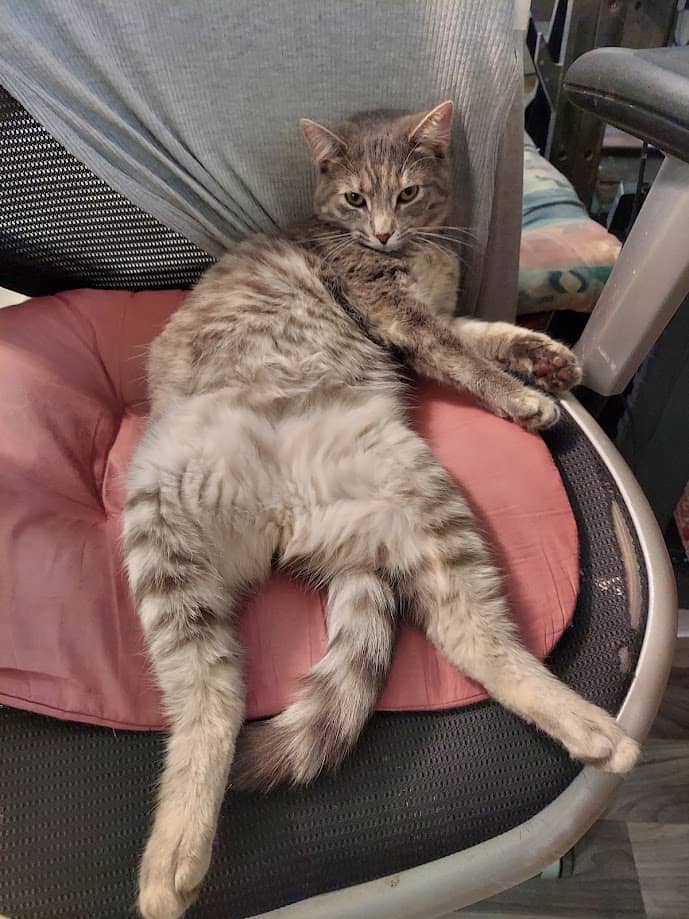 Prism sitting pretty