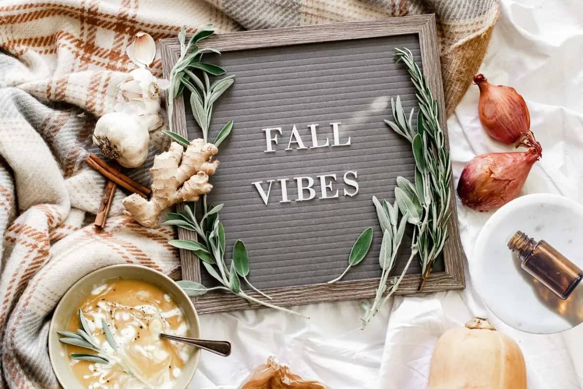 cozy fall vibes