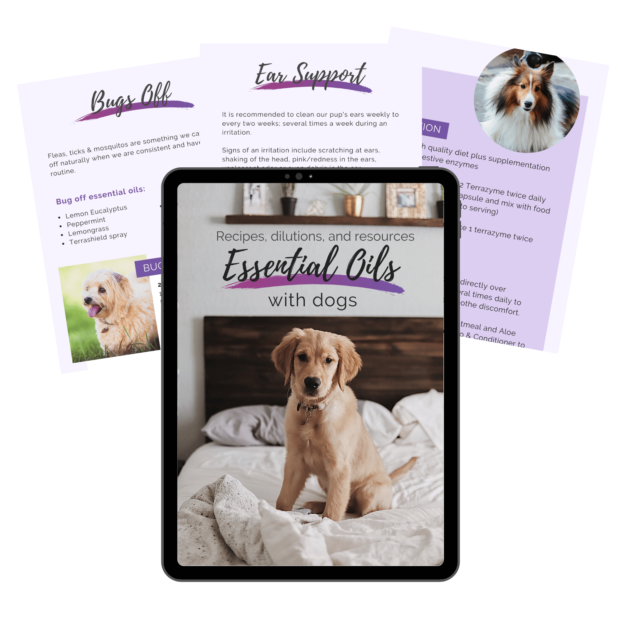 Essential Oils for Dogs - Recipes, dilutions, and safety
