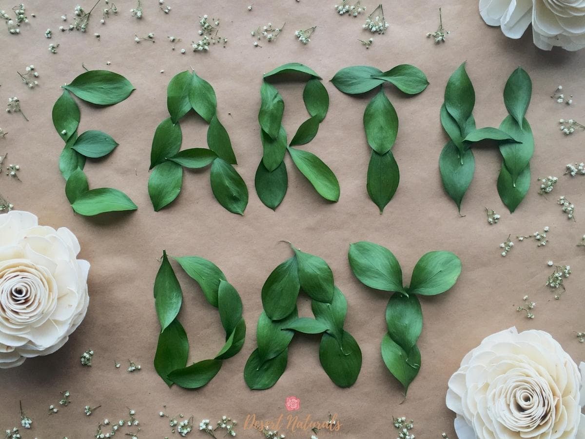 a sign made of leaves that spells earth day
