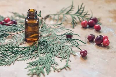 Christmas Essential Oil blends